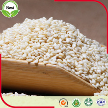 Export Natural Organic White Sesam